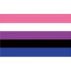 bandeiras lgbtqiapn+ 16