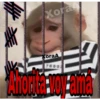 🐒⌛Various Monkey's⌛🐒 15