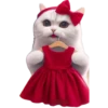 Variados Cute💞7🇵🇪Clásica 14