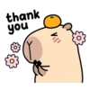 Pipi Capybara 4 15