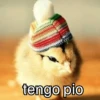 Congelado Memes Frío ❄️ 13