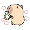 Pipi Capybara 4 16