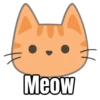 My cat memes 😂🐈 9