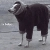 Congelado Memes Frío ❄️ 14