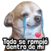 🐾 Perritos y Reacciones! 🔝 15