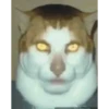 Sílly Memés 12
