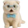 Gatito con lentes 😺👓 18