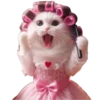 Variados Cute💞7🇵🇪Clásica 15