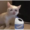 Crying cat (sticker.fan) 18