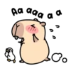 Pipi Capybara 4 18