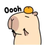Pipi Capybara 4 19
