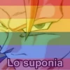 🚫 LGBTQ ❌ Bandera 🤔⁉️ 7