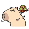 Pipi Capybara 4 20