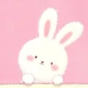 🧿Rabbit y Pig3🐰🐷💕 19