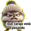 Erizos🦔💞1🇵🇪Clásica 16