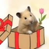 FRASES HAMSTER 🐹🥰 19