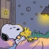 🫐Snoopy Aesthetic🫐 12