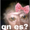 🐒⌛Various Monkey's⌛🐒 18