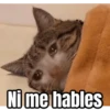 Memes para el frio 🥶❄️☃️ 13