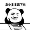 Chinese Panda V2 16