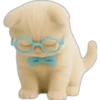 Gatito con lentes 😺👓 19