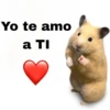 FRASES HAMSTER 🐹🥰 20