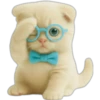 Gatito con lentes 😺👓 21