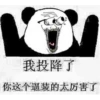 Chinese Panda V2 17