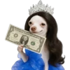 Princesa Chihuahua 👑💙 22