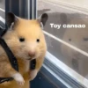 FRASES HAMSTER 🐹🥰 21