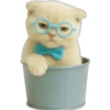 Gatito con lentes 😺👓 22