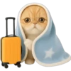 Gatito con mantita 😻🩵 20