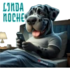 Buenas noches 1 cachorros🇲🇽 20