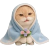Gatito con mantita 😻🩵 22