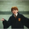 Harry potter Stickers 15