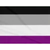 bandeiras lgbtqiapn+ 20