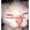 Stikers de la mas negre 20