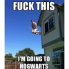 Harry potter Stickers 16
