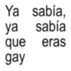 Ya sabía, ya sabía que eras gay