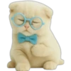 Gatito con lentes 😺👓 23
