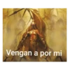 soy admin 21