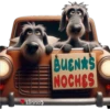 Buenas noches 1 cachorros🇲🇽 21