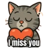 My cat memes 😂🐈 11