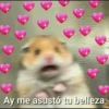 stikers de amor acá bien vrgas 25