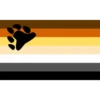 bandeiras lgbtqiapn+ 21