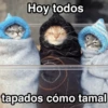 Frío ✨🥶MEMES 2 12