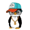 Pinguinos🐧💞1🇵🇪Clásica 21
