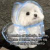 Frío ✨🥶MEMES 2 14