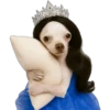 Princesa Chihuahua 👑💙 25