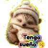 Erizos🦔💞1🇵🇪Clásica 21
